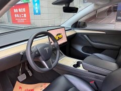 Tesla Model Y Rear-Wheel Drive - ფოტო 4