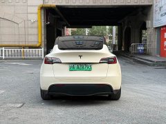 Tesla Model Y Rear-Wheel Drive - ფოტო 8
