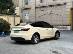 Tesla Model Y Rear-Wheel Drive - ფოტო 9