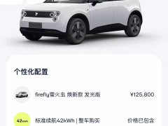 Nio Firefly Luminous Edition - ფოტო 20