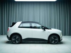 Nio Firefly Luminous Edition - ფოტო 5