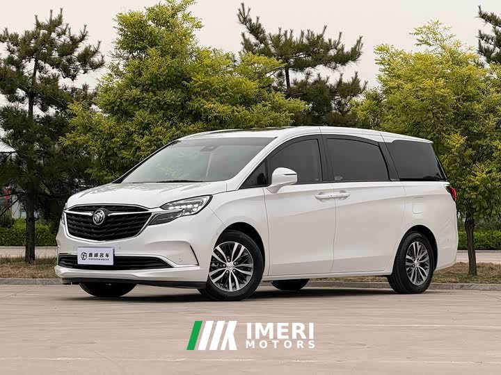 Buick GL8 ES Luxe 653T Prestige - ავტომობილი ჩინეთიდან