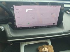 XPeng P7 P7i 702 Pro - ფოტო 14