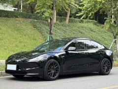 Tesla Model 3 Rear-Wheel Drive - ფოტო 1