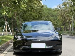 Tesla Model 3 Rear-Wheel Drive - ფოტო 2