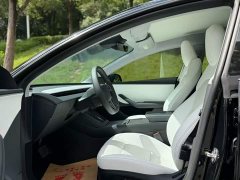 Tesla Model 3 Rear-Wheel Drive - ფოტო 3