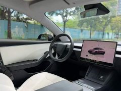 Tesla Model 3 Rear-Wheel Drive - ფოტო 5