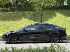 Tesla Model 3 Rear-Wheel Drive - ფოტო 7