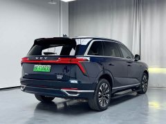 Great Wall WEY Blue Mountain Four-Wheel Drive Extended Range Version - ფოტო 5