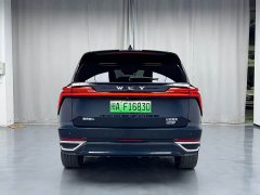 Great Wall WEY Blue Mountain Four-Wheel Drive Extended Range Version - ფოტო 6