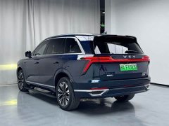 Great Wall WEY Blue Mountain Four-Wheel Drive Extended Range Version - ფოტო 7