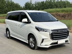Maxus G20 ES 2.0T Gasoline Automatic Value Edition - ფოტო 3
