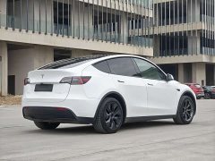 Tesla Model Y Rear-Wheel Drive - ფოტო 11