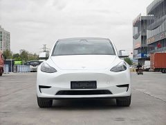 Tesla Model Y Rear-Wheel Drive - ფოტო 2