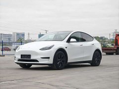 Tesla Model Y Rear-Wheel Drive - ფოტო 3