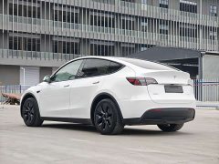 Tesla Model Y Rear-Wheel Drive - ფოტო 9
