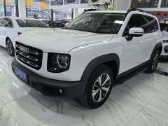 Great Wall Dachshund 1.5T DCT Two-Wheel Drive Labrador Edition - ფოტო 1