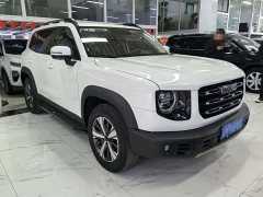 Great Wall Dachshund 1.5T DCT Two-Wheel Drive Labrador Edition - ფოტო 3