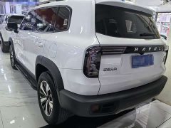 Great Wall Dachshund 1.5T DCT Two-Wheel Drive Labrador Edition - ფოტო 4