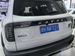 Great Wall Dachshund 1.5T DCT Two-Wheel Drive Labrador Edition - ფოტო 5