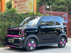 Geely Panda 210km Panda Kart - ფოტო 1