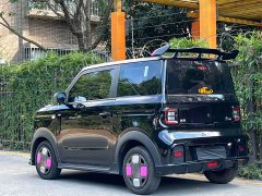 Geely Panda 210km Panda Kart - ფოტო 10