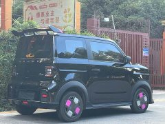 Geely Panda 210km Panda Kart - ფოტო 12