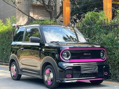 Geely Panda 210km Panda Kart - ფოტო 3