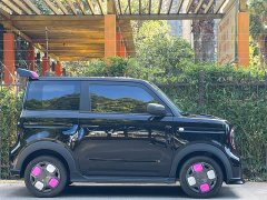 Geely Panda 210km Panda Kart - ფოტო 9