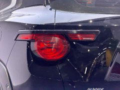 Haval Big Dog PLUS New Energy Hi4 102km Trendy Electric Edition Plus - ფოტო 8