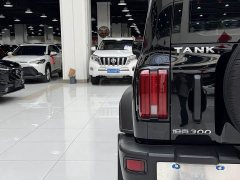 Tank 300 Off-Road Edition 2.0T Challenger - ფოტო 13