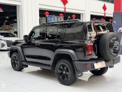 Tank 300 Off-Road Edition 2.0T Challenger - ფოტო 15
