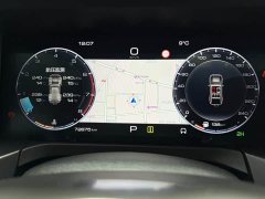 Tank 300 Off-Road Edition 2.0T Challenger - ფოტო 5