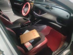 Buick Regal 25T Premium Comfort Edition - ფოტო 8