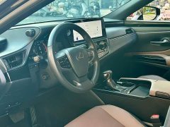Lexus ES 300h Premium Edition - ფოტო 4