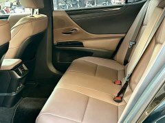 Lexus ES 300h Premium Edition - ფოტო 5