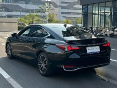 Lexus ES 300h Premium Edition - ფოტო 7