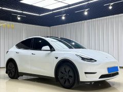 Tesla Model Y Rear-Wheel Drive - ფოტო 3