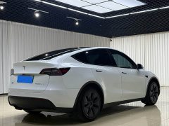 Tesla Model Y Rear-Wheel Drive - ფოტო 7