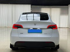 Tesla Model Y Rear-Wheel Drive - ფოტო 8