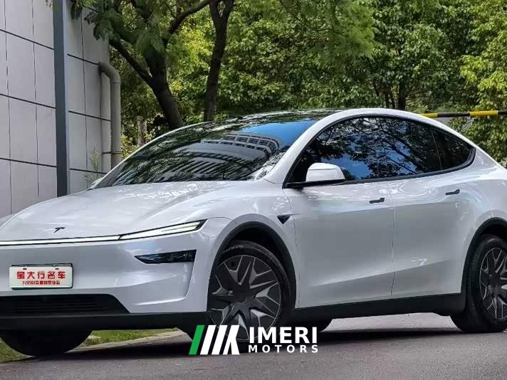 Tesla Model Y Long Range All-Wheel Drive - ავტომობილი ჩინეთიდან