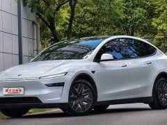Tesla Model Y Long Range All-Wheel Drive - ფოტო 1