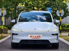 Tesla Model Y Long Range All-Wheel Drive - ფოტო 2