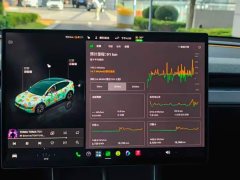 Tesla Model Y Long Range All-Wheel Drive - ფოტო 8
