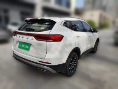 Haval H6 National Trend Edition 1.5T Automatic Urban Version - ფოტო 4