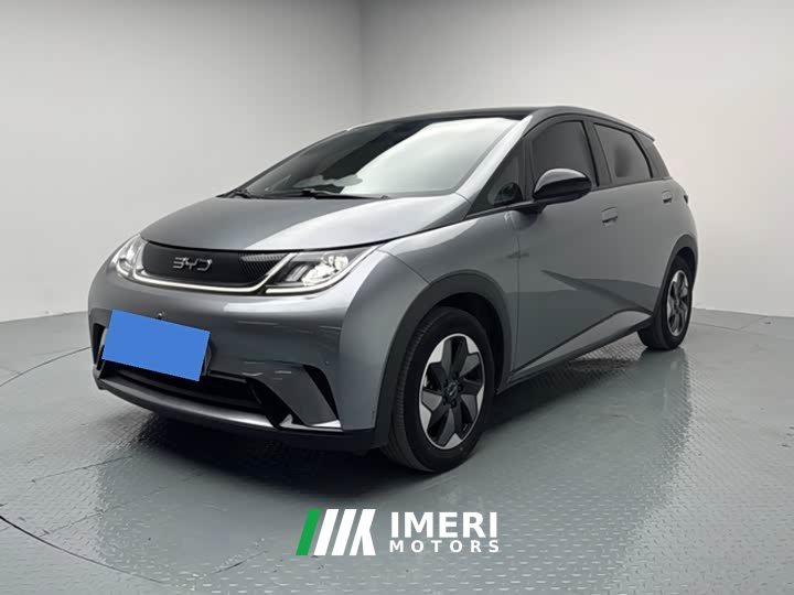 BYD Dolphin Glory Edition 420km Fashion Version - ავტომობილი ჩინეთიდან