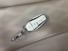 BYD Dolphin Glory Edition 420km Fashion Version - ფოტო 12