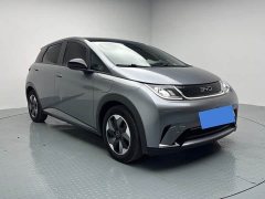 BYD Dolphin Glory Edition 420km Fashion Version - ფოტო 3