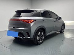BYD Dolphin Glory Edition 420km Fashion Version - ფოტო 6