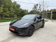 Tesla Model Y Rear-Wheel Drive - ფოტო 1